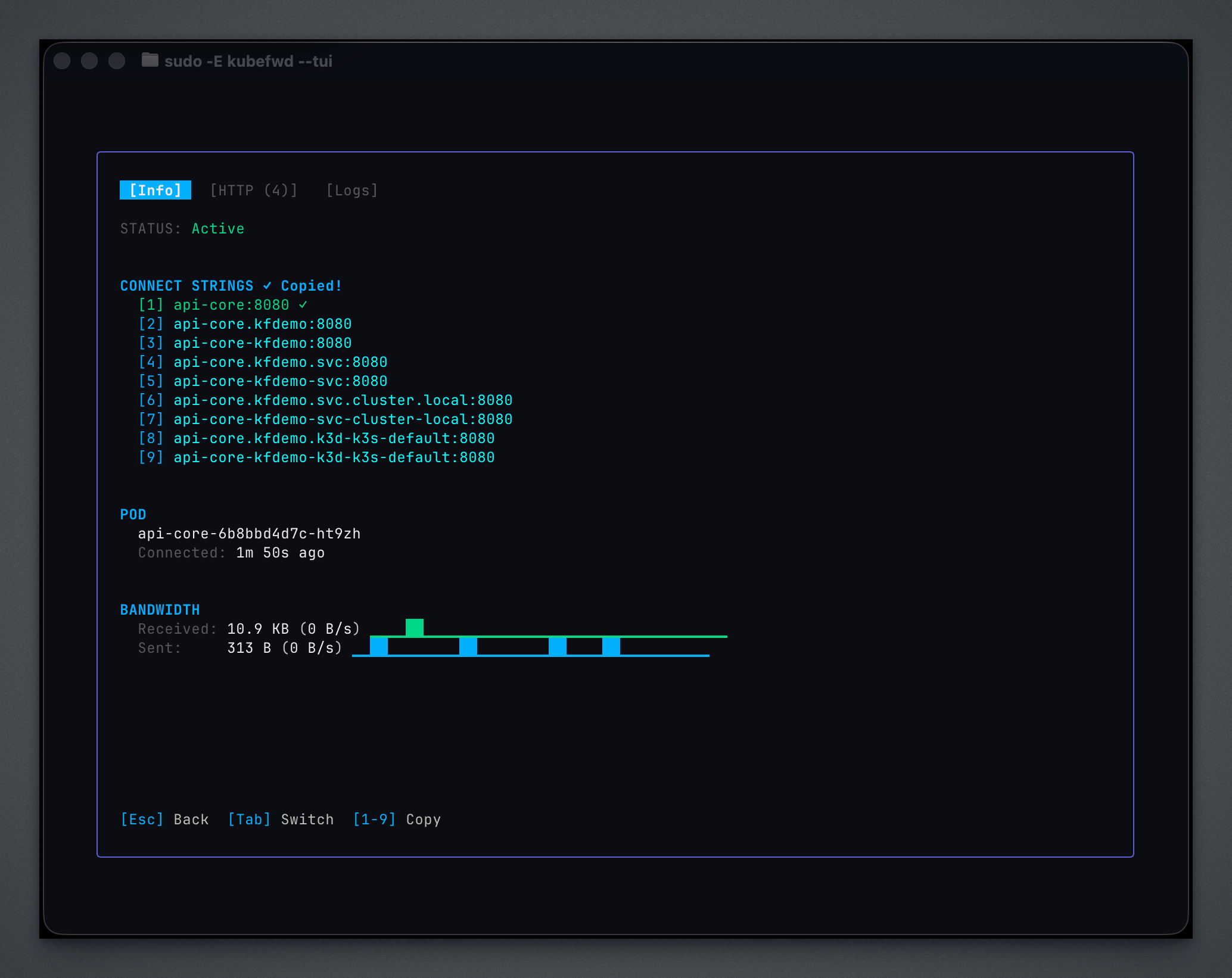 kubefwd TUI service detail with connection strings